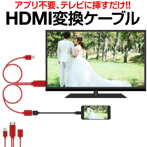 グリーン住宅ポイント交換商品 【カラー：レッド】HDMI 変換ケーブル 画像1