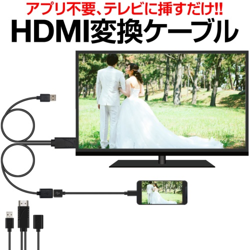 グリーン住宅ポイント交換商品 【カラー：ブラック】HDMI 変換ケーブル 画像1